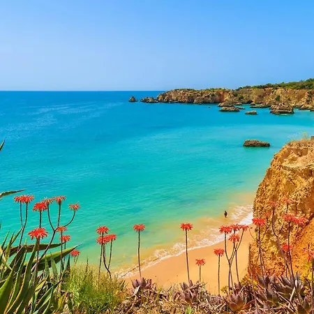 Rose 5 Minutes Walk From The Center Of Carvoeiro And The Beach With Private Heated Pool And Ac *